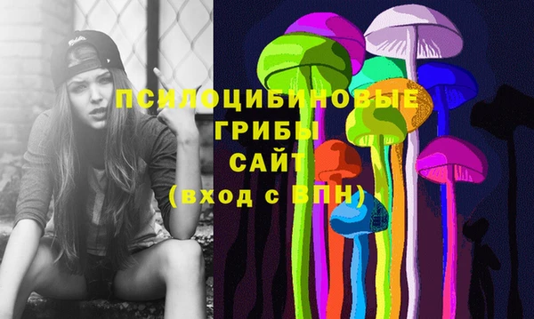 apvp Абаза