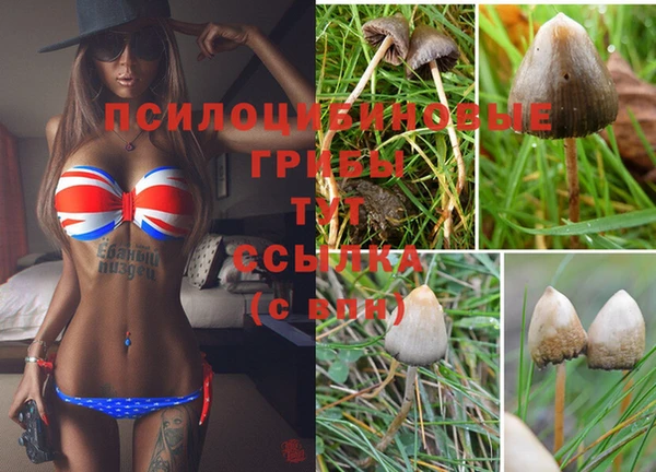 apvp Абаза