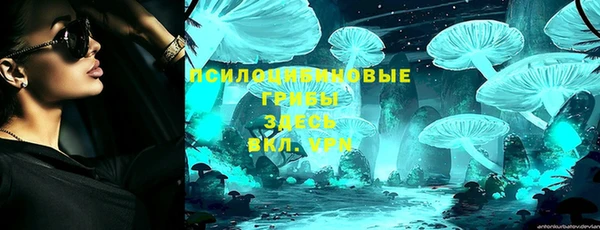 apvp Абаза
