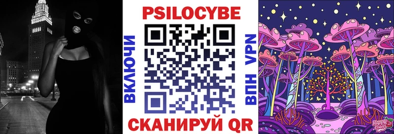 Псилоцибиновые грибы Psilocybe наркотики дарк нет официальный сайт Братск