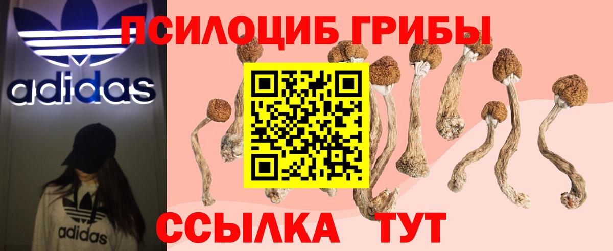 Галлюциногенные грибы прущие грибы  Вход с VPN  Братск 